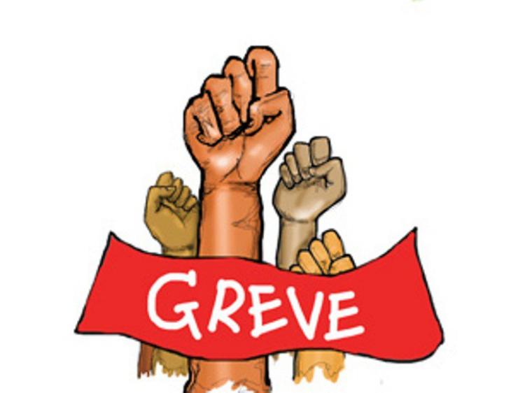 greve maos