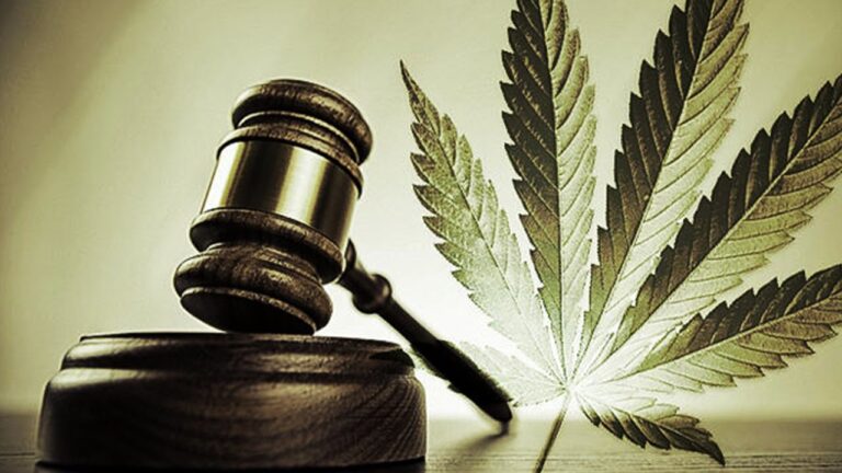 legalizacao da maconha